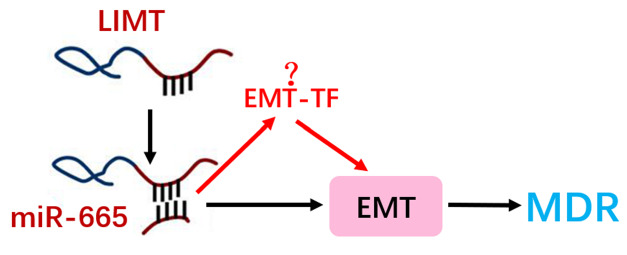 
Figure7
