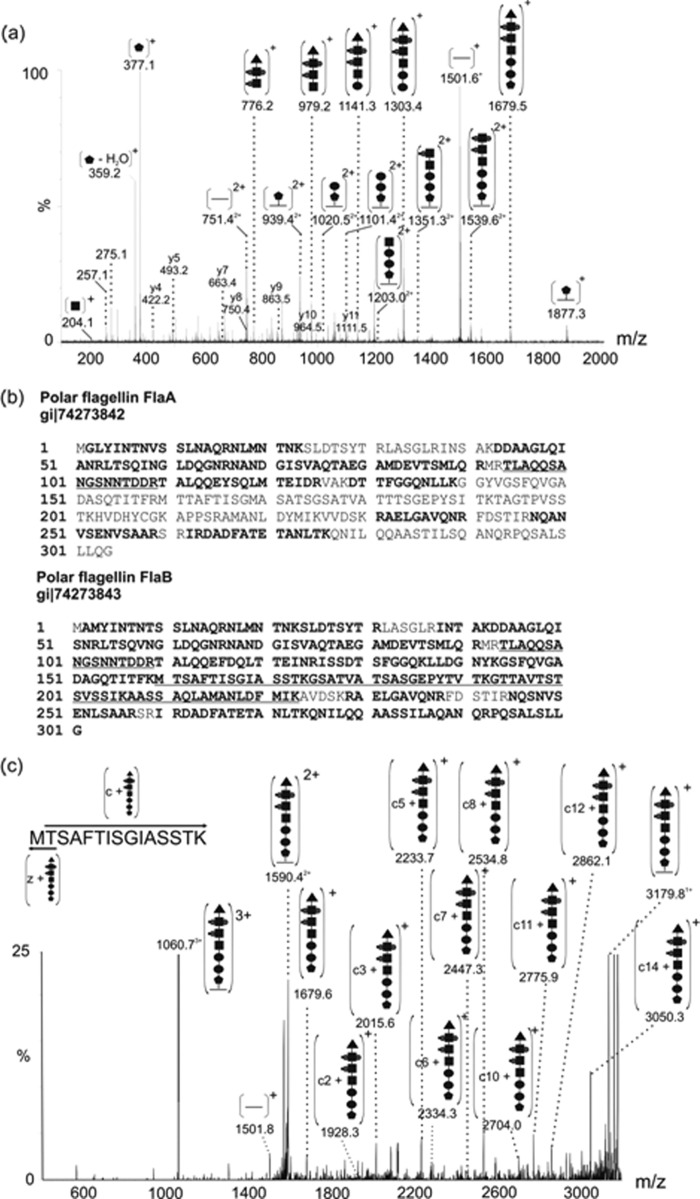 FIGURE 3.