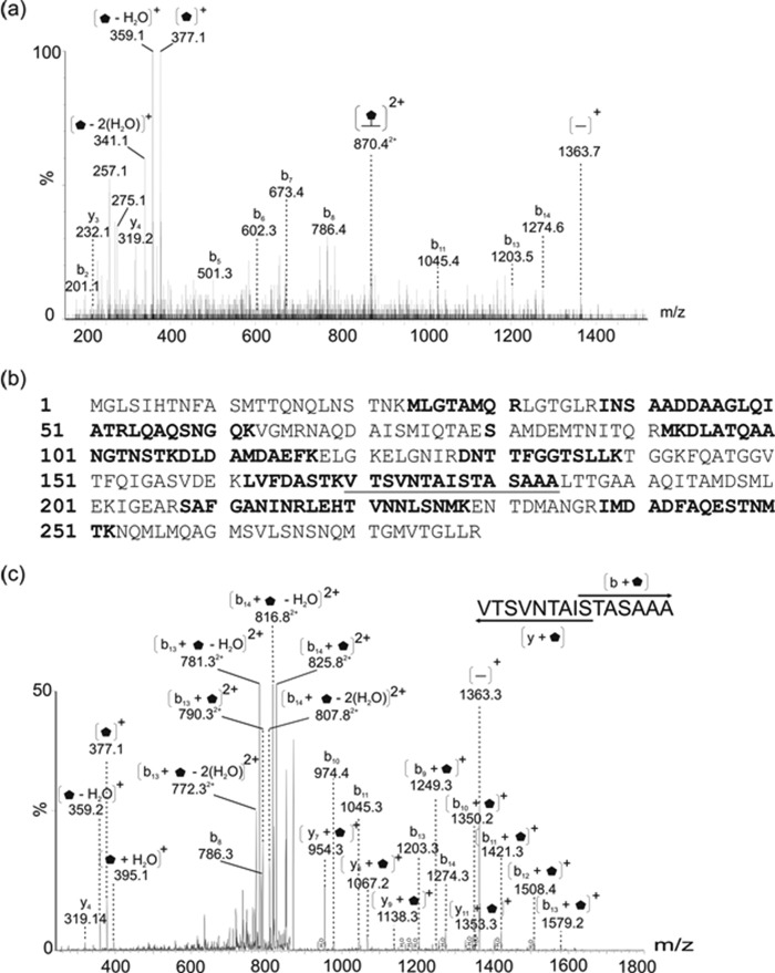 FIGURE 2.