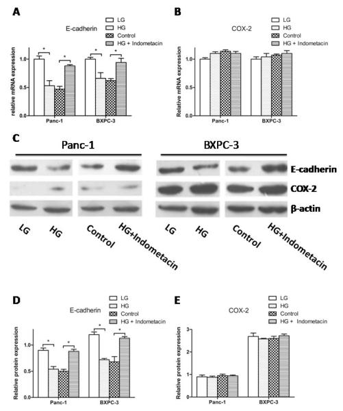 Fig. (3)