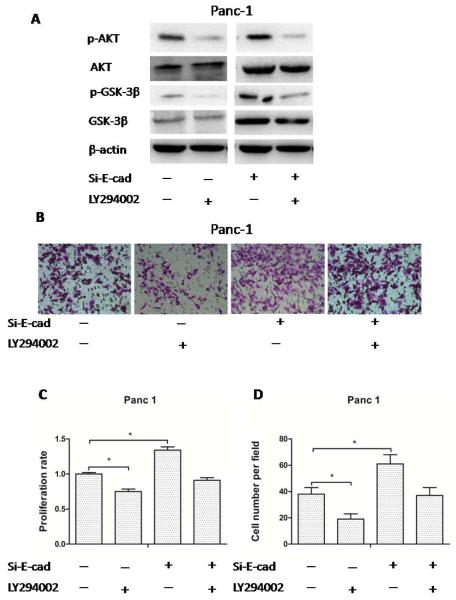 Fig. (7)