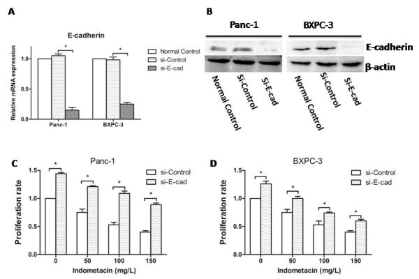 Fig. (4)