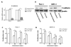 Fig. (4)