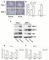 Fig. (5)