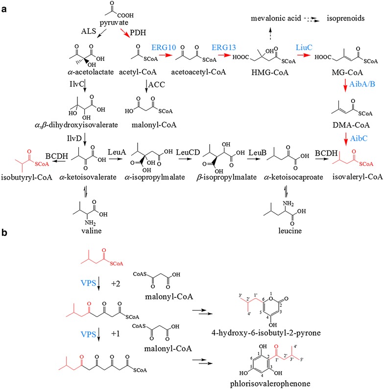 Fig. 2