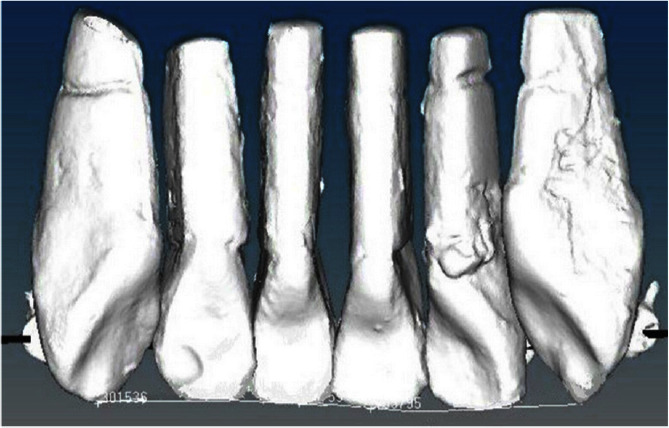 Figure 10