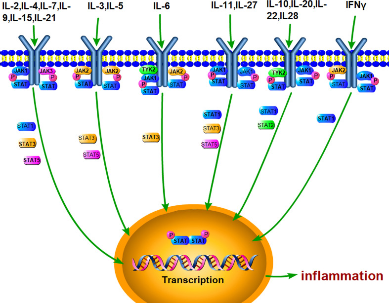 Figure 1