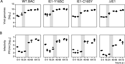 FIG. 4.