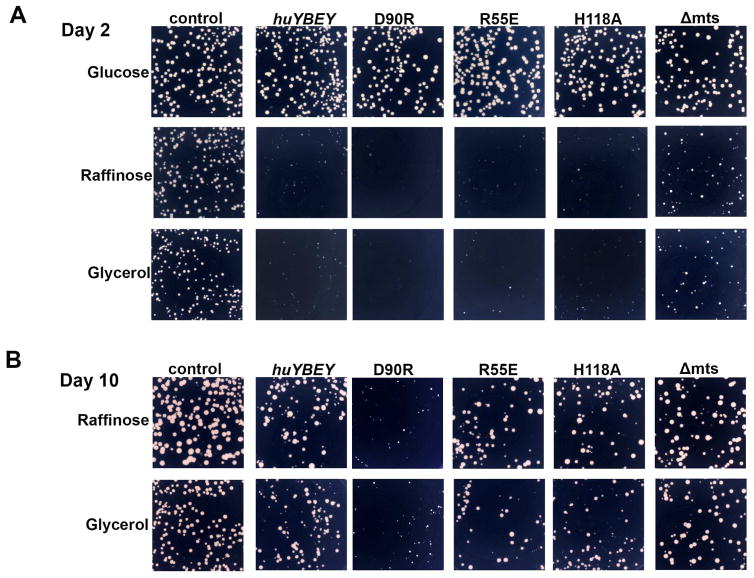 Fig 3