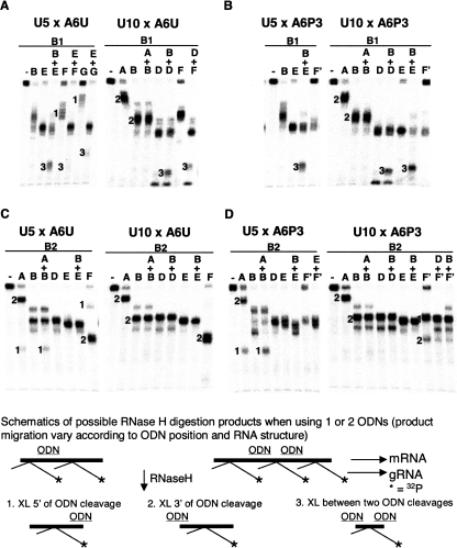 FIGURE 4.