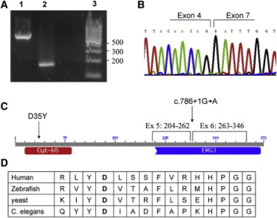 Figure 4