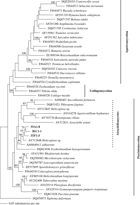 Figure 4.