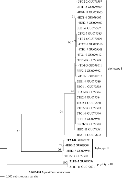 Figure 3.