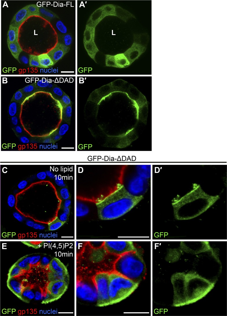 Figure 3.