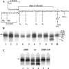 FIG. 1.
