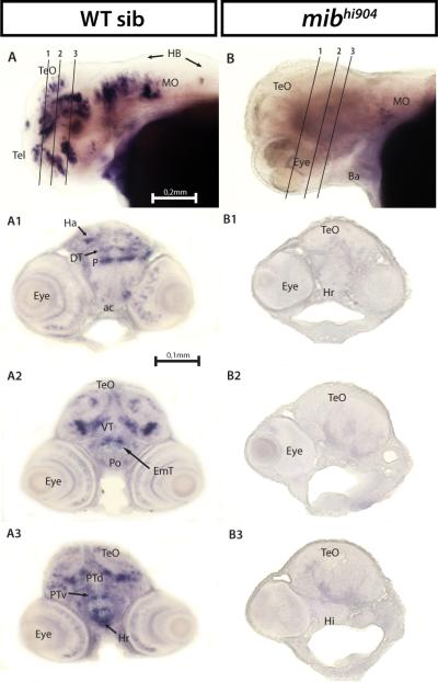 Fig. 9