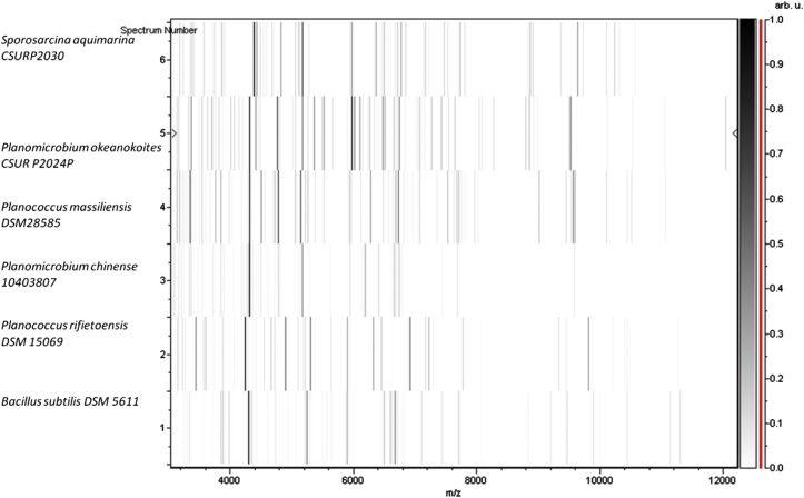 Fig. 2