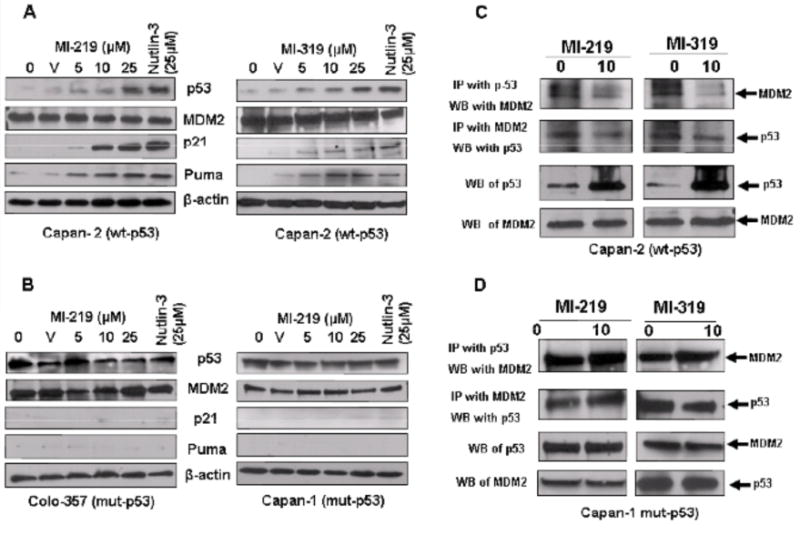 Fig. (3)