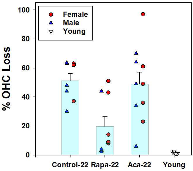 Figure 4: