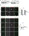 FIGURE 6: