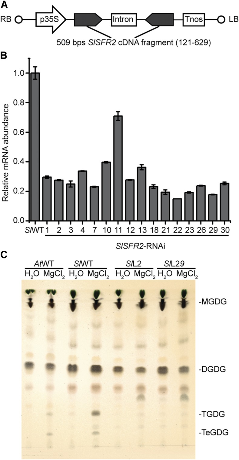 Figure 4.