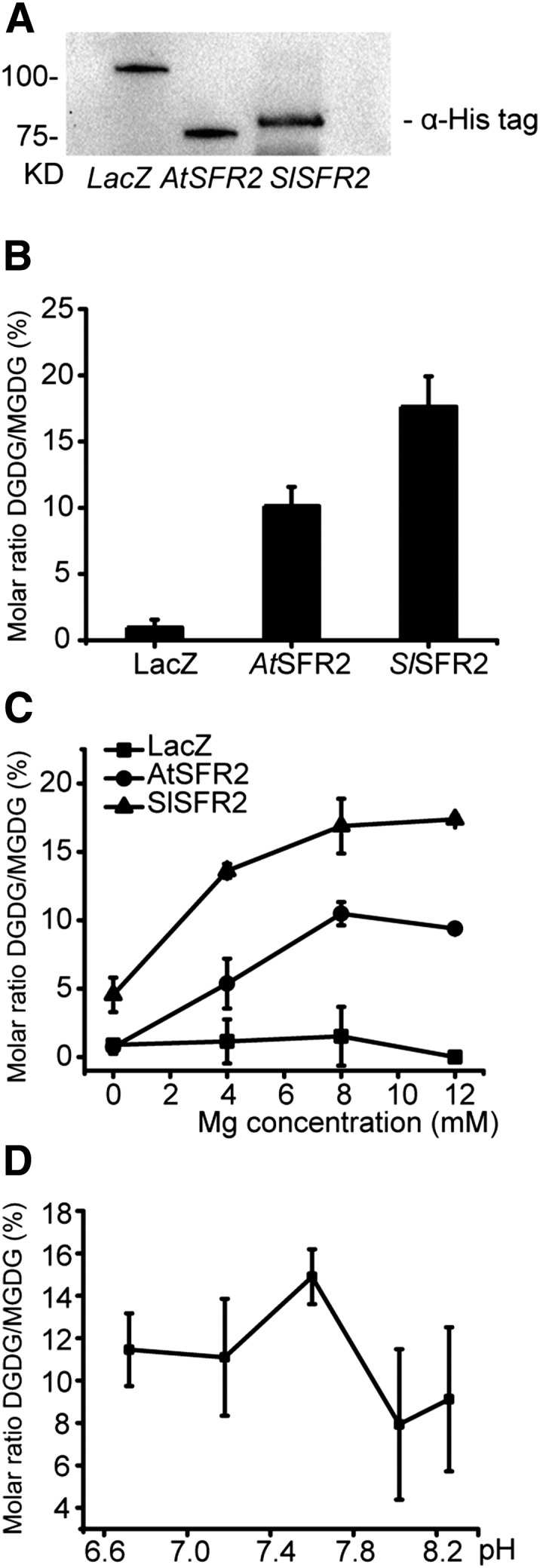 Figure 3.