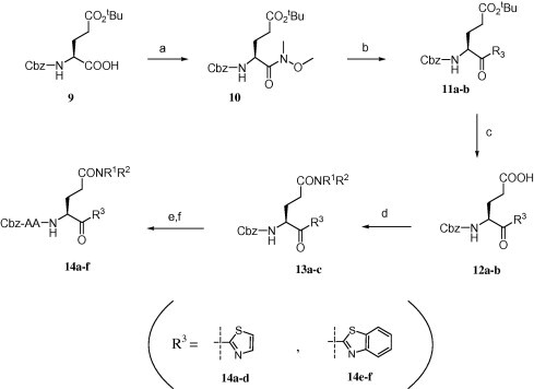 Scheme 3