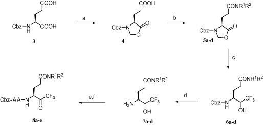 Scheme 2