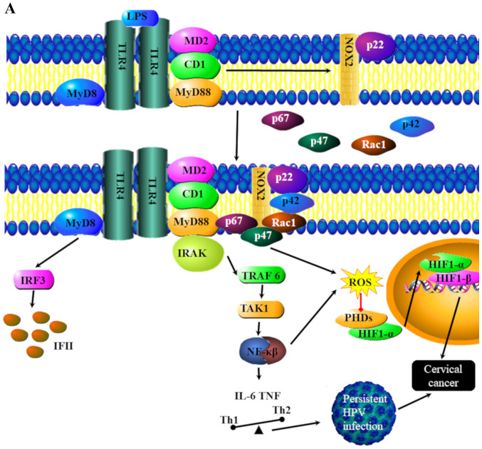 Figure 6.