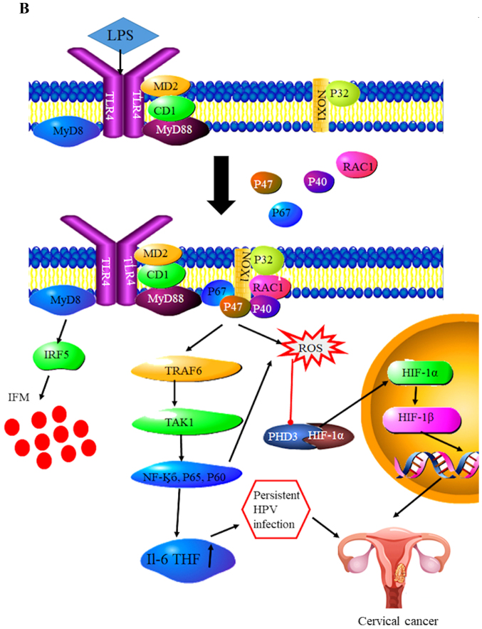 Figure 6.