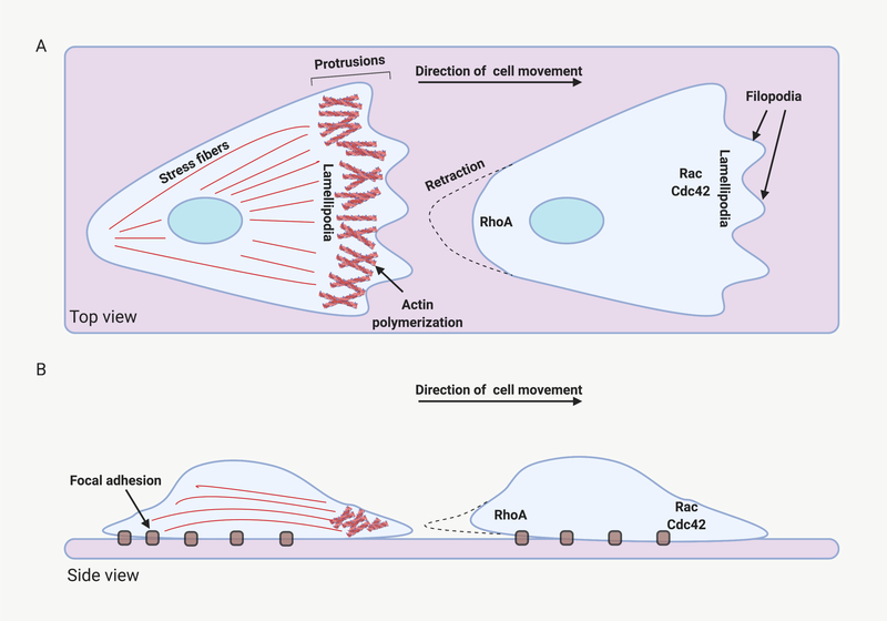 Figure 1: