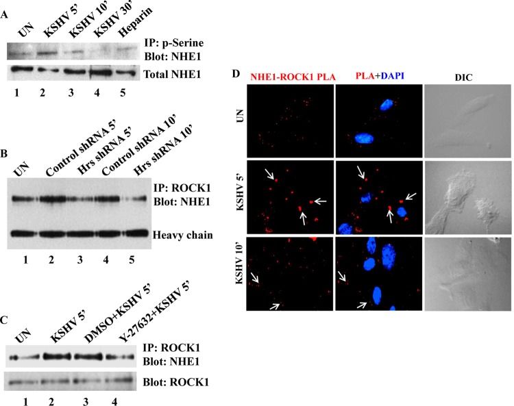 FIG 6