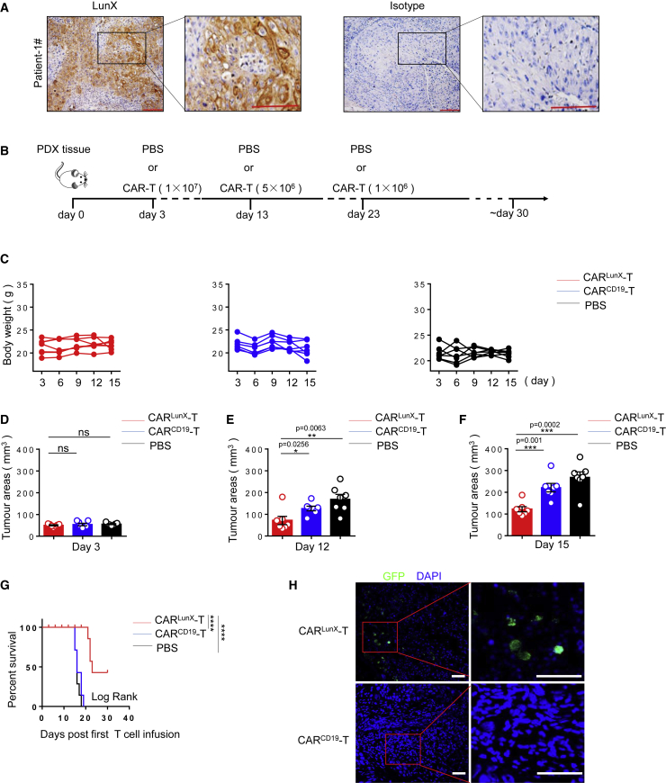 Figure 6