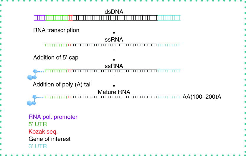 Figure 2. 