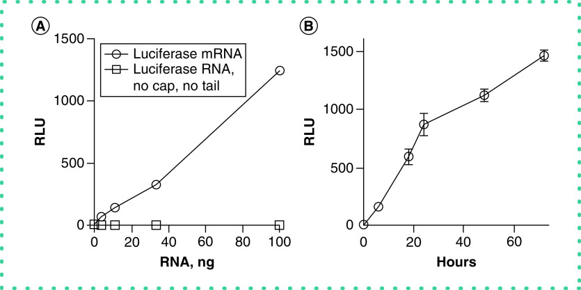 Figure 4. 