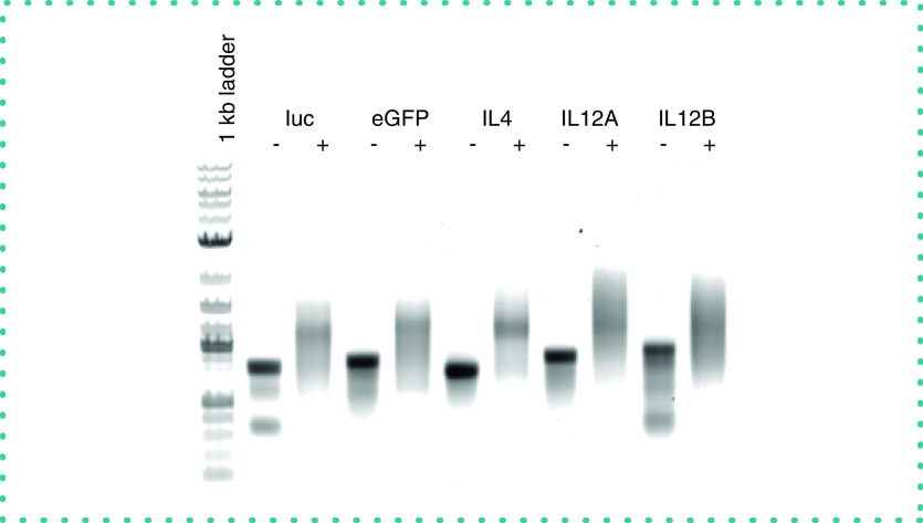 Figure 1. 