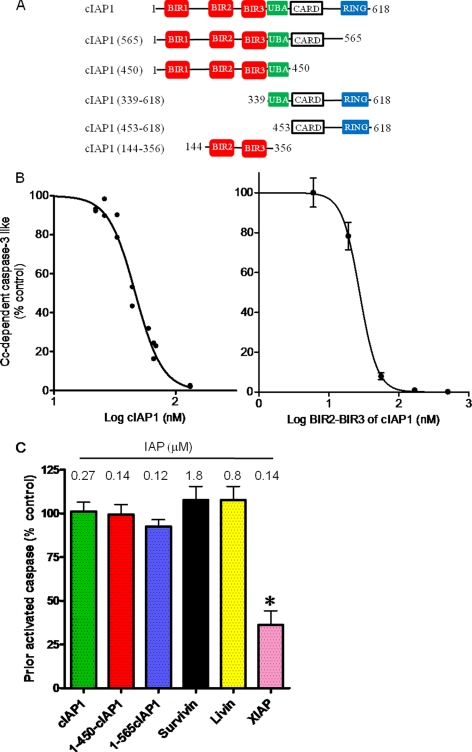 FIGURE 1.