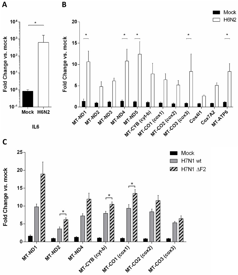 Fig 4