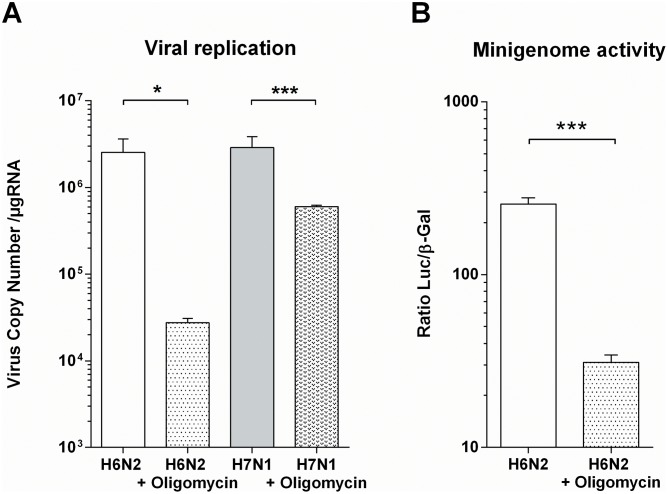 Fig 7