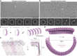 Fig. 2 |