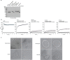 Extended Data Fig. 2 |