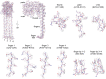 Extended Data Fig. 7 |