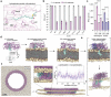 Fig. 4 |