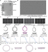 Extended Data Fig. 10 |