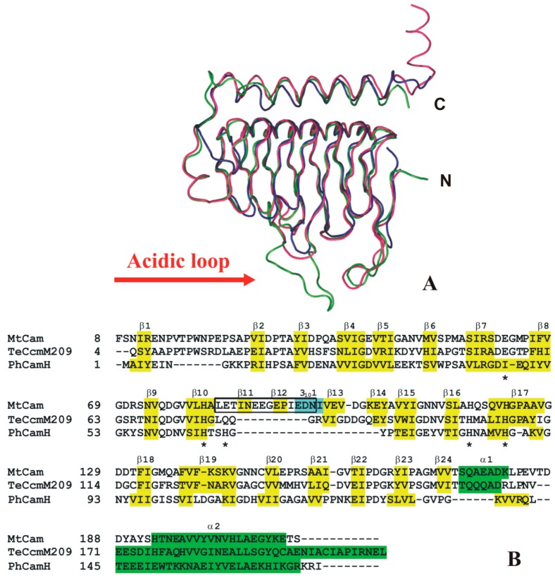 Figure 10