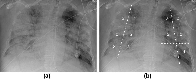 Figure 3