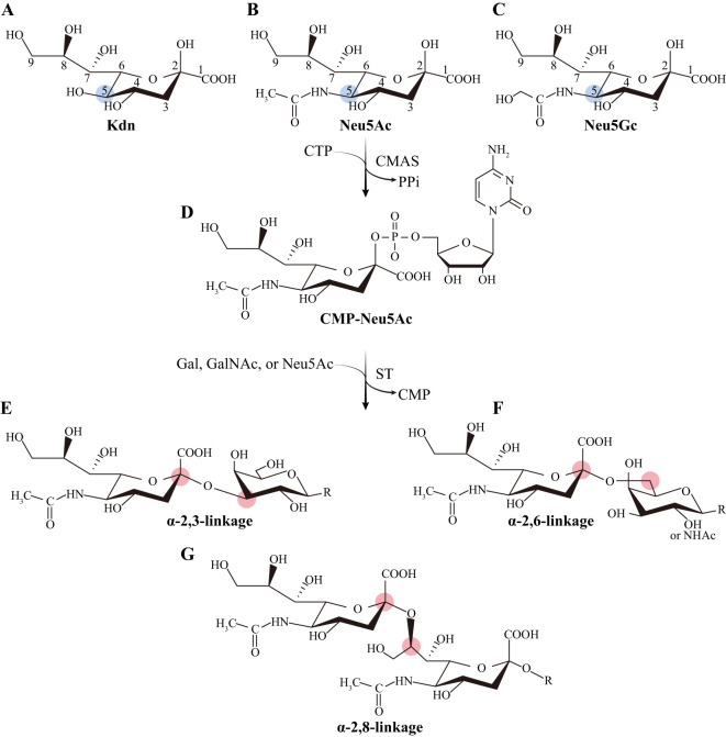 Figure 1