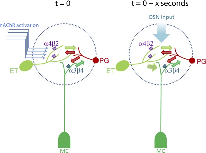 Fig. 8.