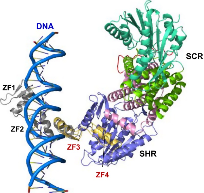 Figure 10