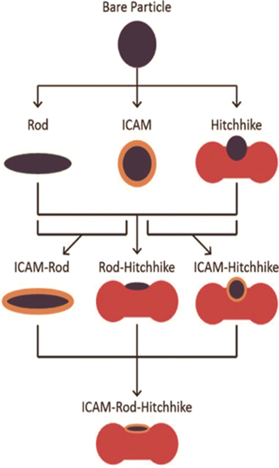 Fig. 10